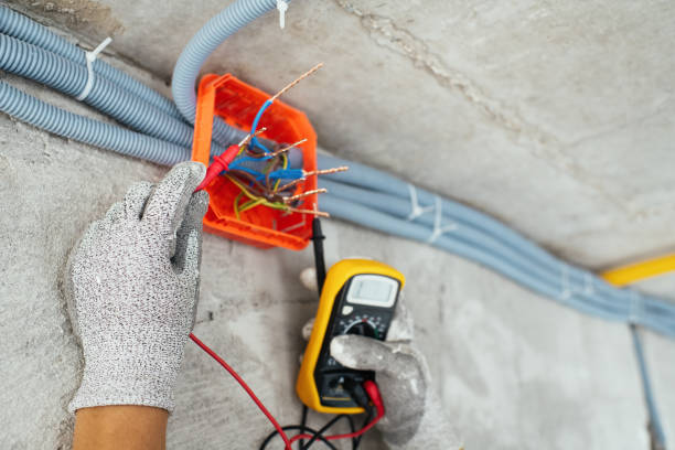 Best Electric Panel Repair  in Morenci, MI